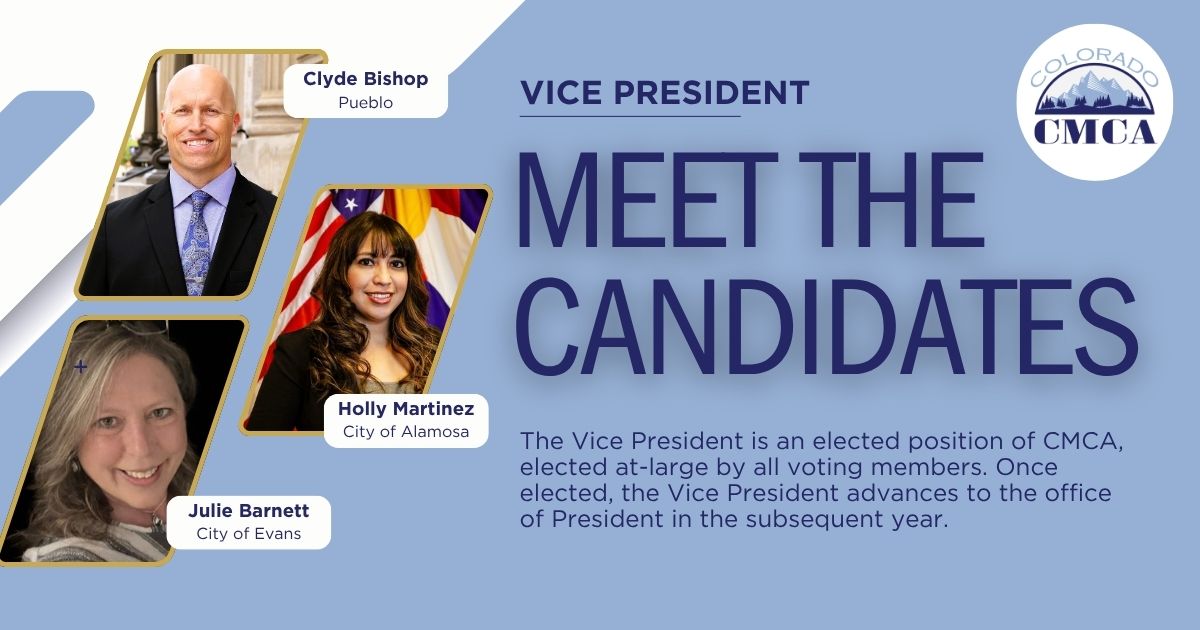 VP Director Candidates